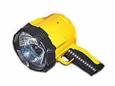 Proiettore Alogeno da 55W